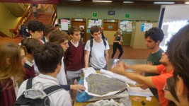 WhatsApp Image 2018-06-01 at 18.40.13.jpeg