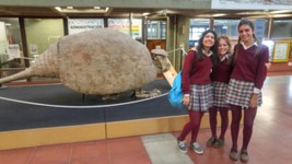 WhatsApp Image 2018-06-01 at 18.40.14.jpeg